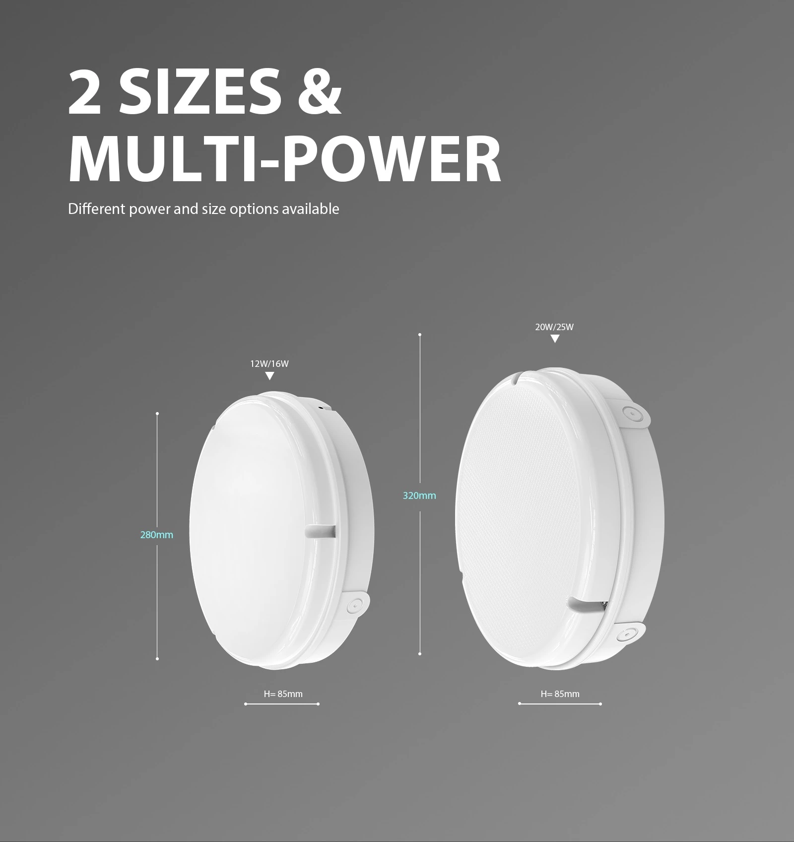 bulkhead-light-ProC28004 bulkhead-light-ProC28004